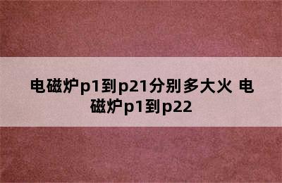 电磁炉p1到p21分别多大火 电磁炉p1到p22